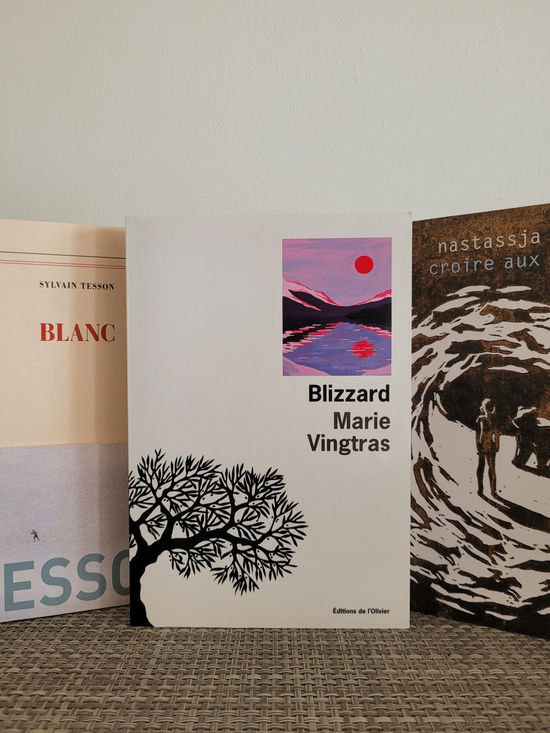 La Librairie des étudiants : Blizzard - Marie Vingtras - Campus ...