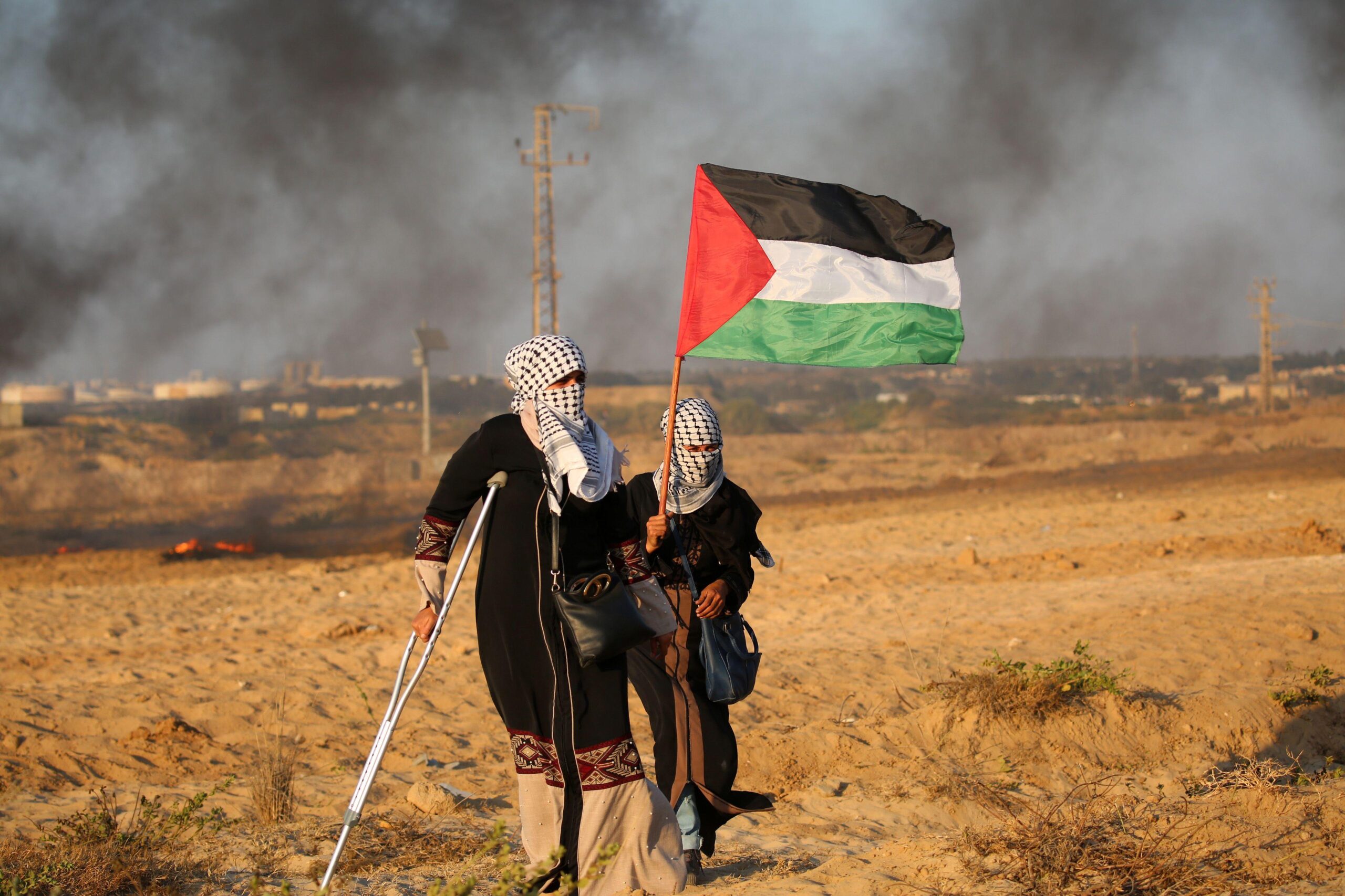 Micro Ondes : Émission d’actu et d’analyse sur la Palestine par des militant.e.s episode artwork