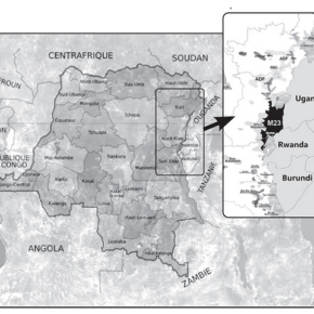carte de la RDC avec la zone occupée par le M23
