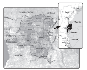 carte de la RDC avec la zone occupée par le M23