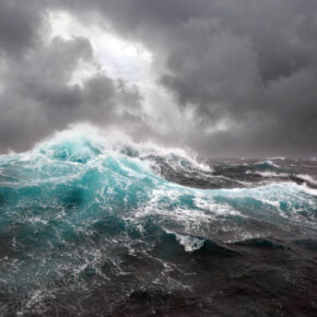 Le Flou sur la langue