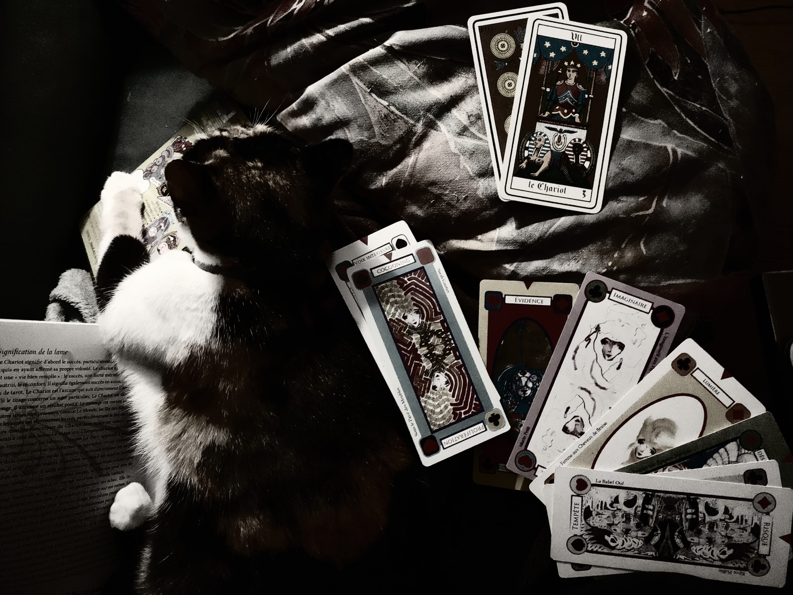 Tarot de la Cité : L’oracle depuis le 22 octobre ! episode artwork